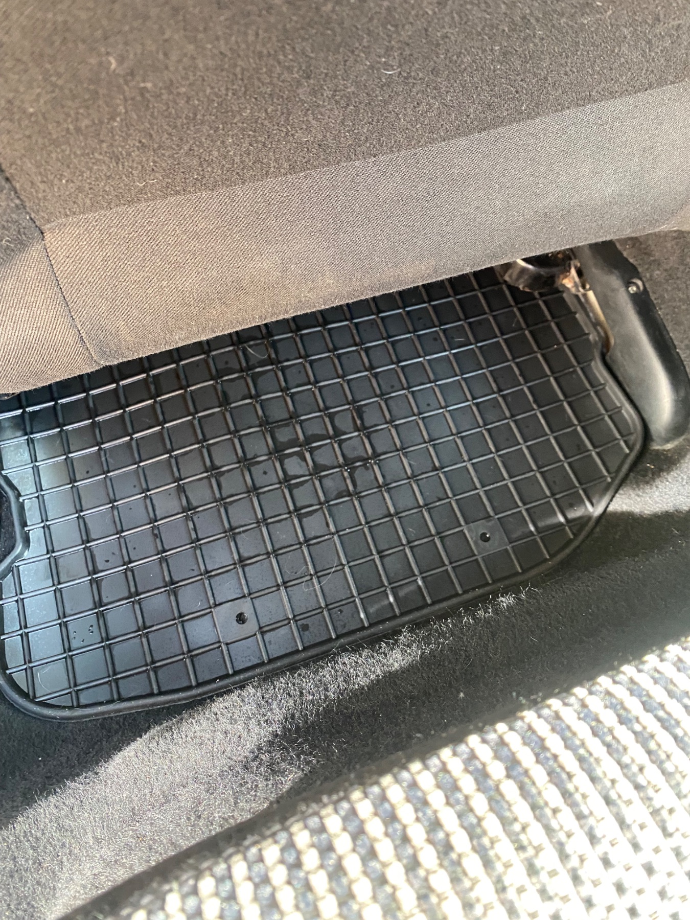 Volkswagen Golf po detailingu